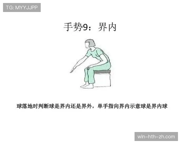 裁判手势图解：这些关键动作分别代表什么判罚？