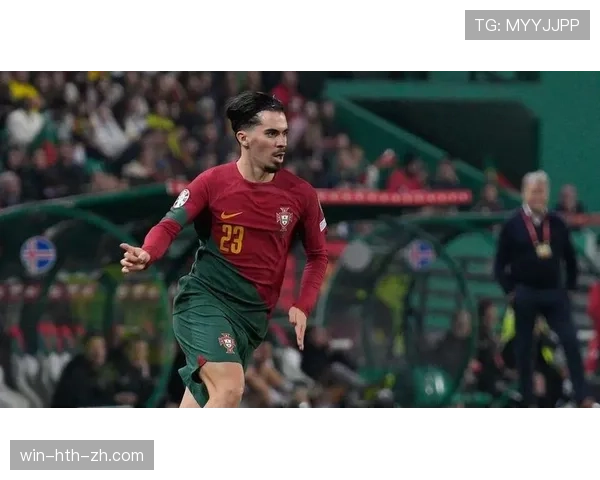 维蒂尼亚的爆发潜力体现在哪些关键能力维度 维蒂尼亚的爆发潜力体现在哪些关键能力维度